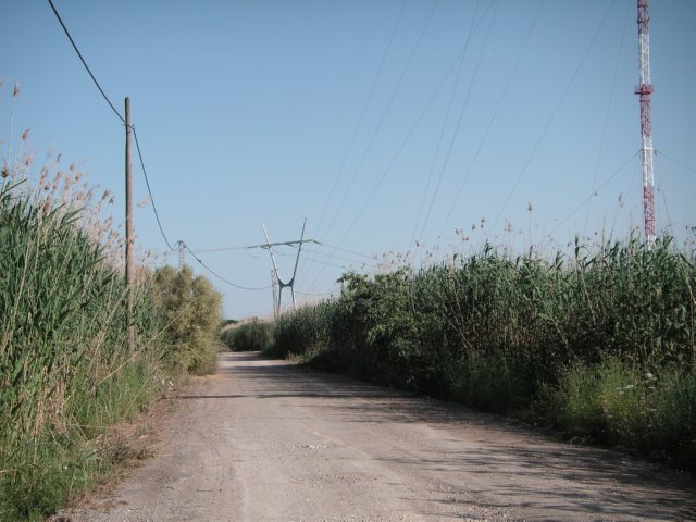TENDIDO ELECTRICO (7) RIESGO ELECTRICO